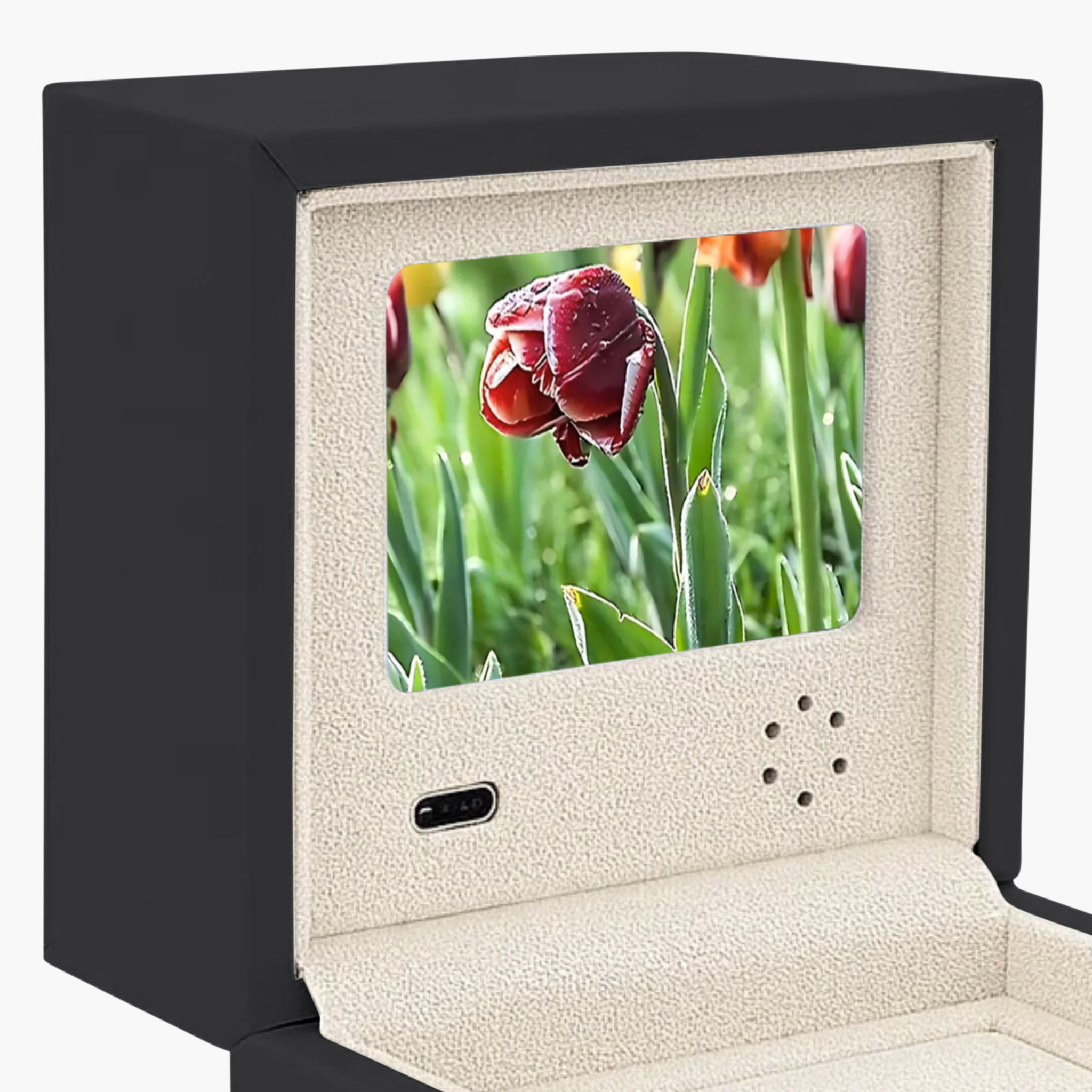 Video Ring Box