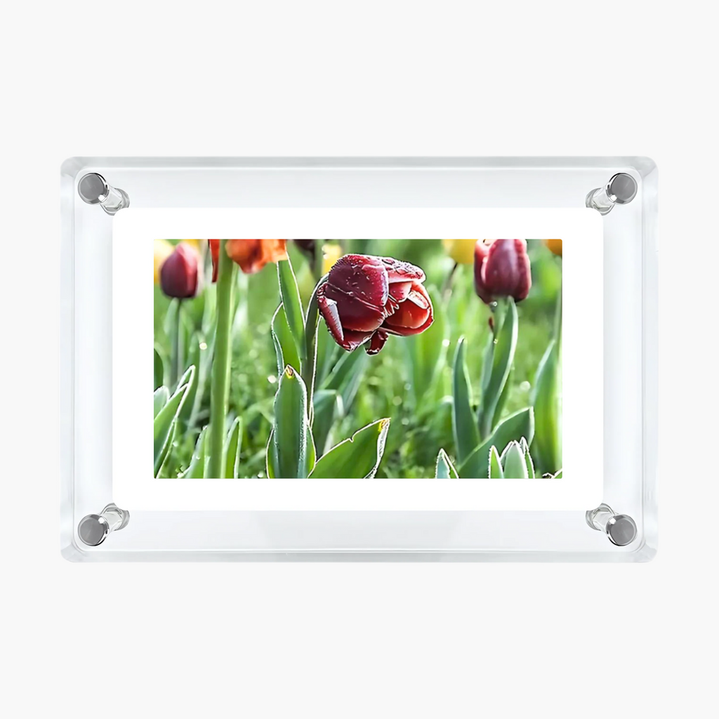 Acrylic Video Frame