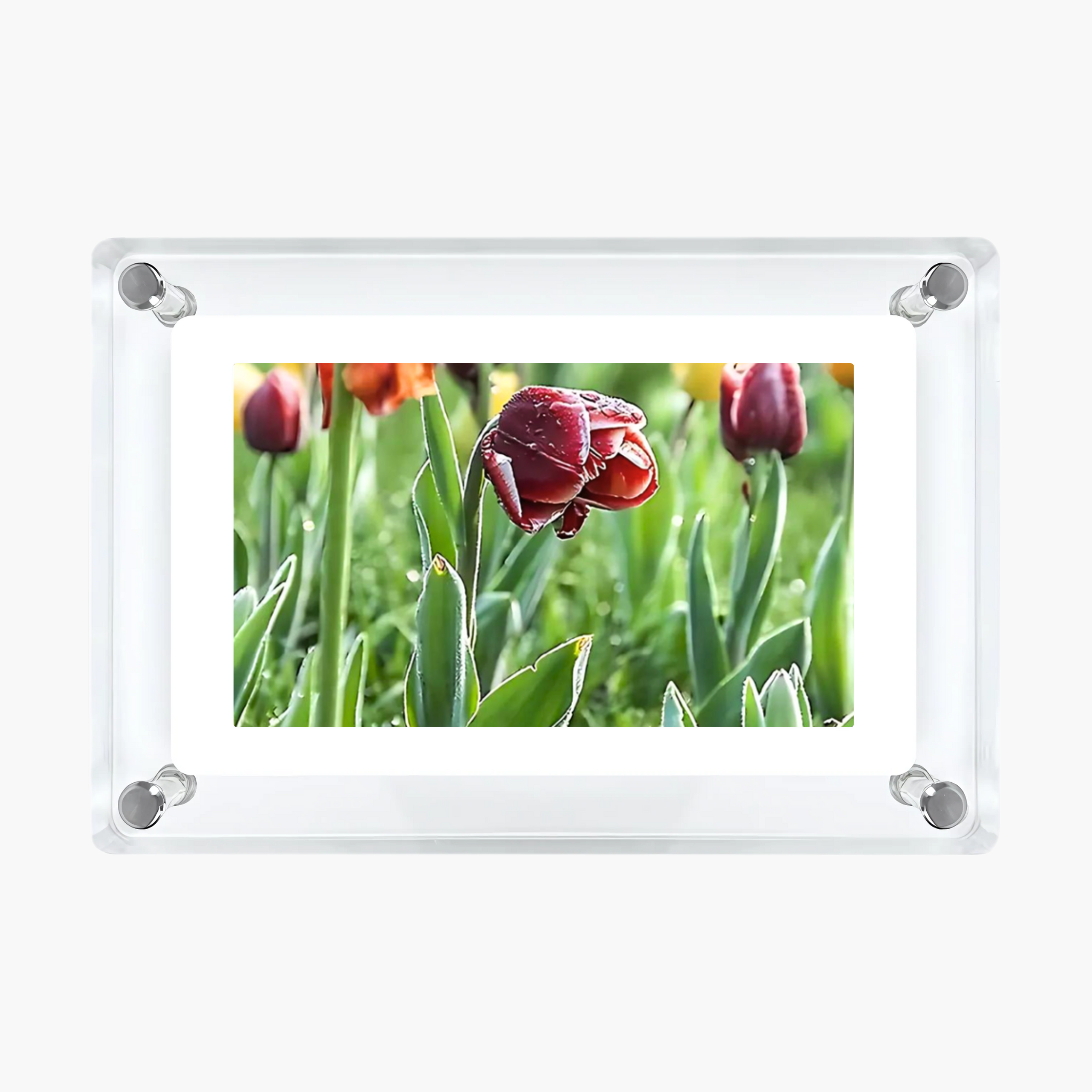 Acrylic Video Frame