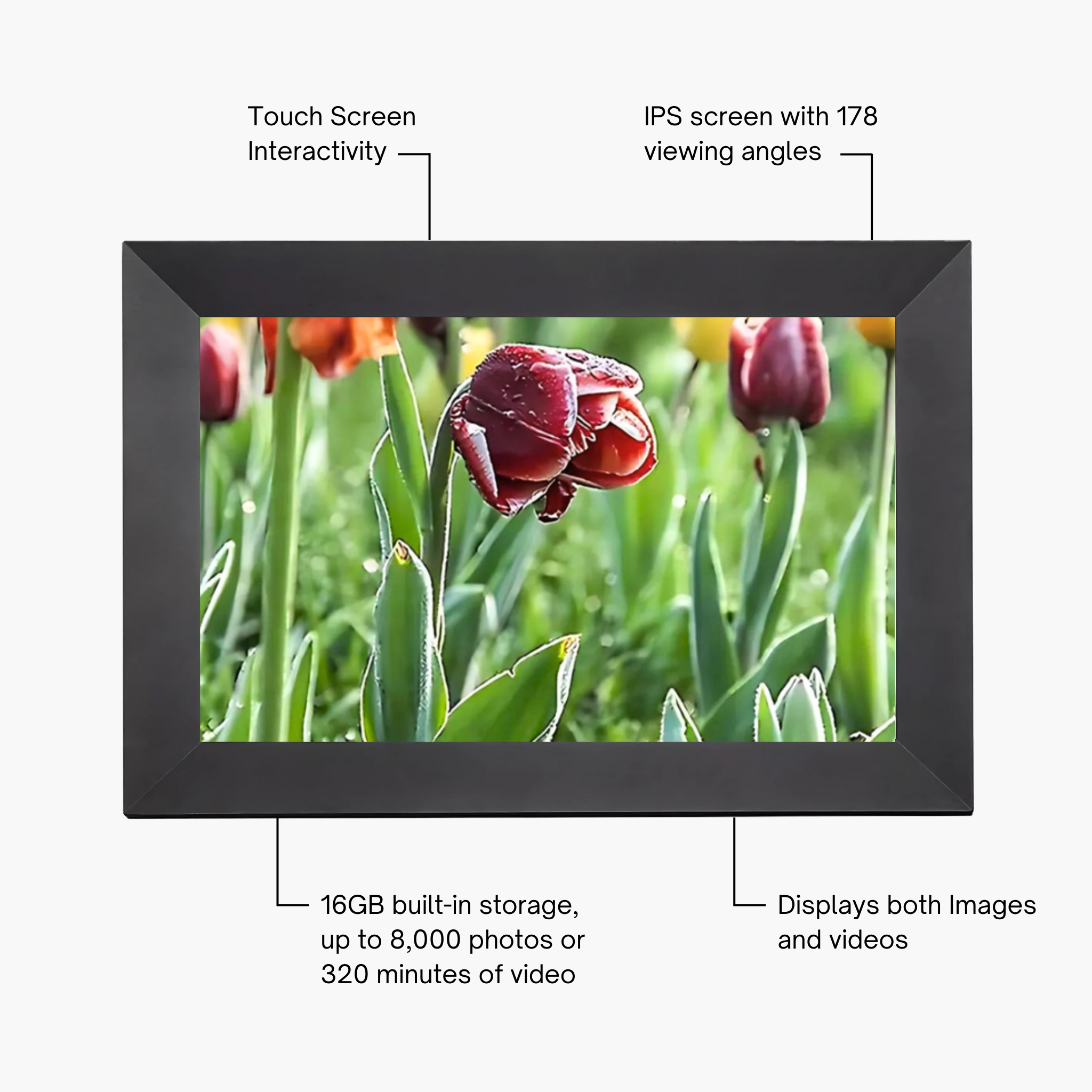 Digital Video Frame